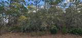 18106 Parakeet Road - Photo 4