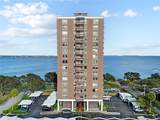 4015 Bayshore Boulevard - Photo 5