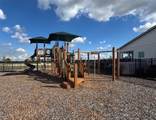 30130 Emerald Forest Drive - Photo 27