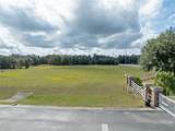 103 Alafia Estates Lane - Photo 11