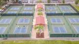 822 Mccallister - Photo 26
