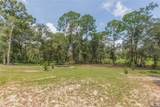 34299 Belt Drive - Photo 61