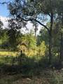 5649 209TH Road - Photo 59