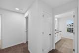 31903 Sapna Chime Drive - Photo 42