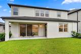 31903 Sapna Chime Drive - Photo 58