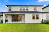 31903 Sapna Chime Drive - Photo 59
