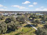 31903 Sapna Chime Drive - Photo 95