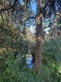 14428 Guava Street - Photo 8