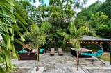 1237 Lotus Path - Photo 2