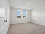 3389 Linger Lane - Photo 8