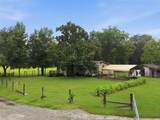 9299 Weatherly Road - Photo 2