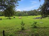9299 Weatherly Road - Photo 3