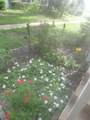 5815 18TH Street - Photo 18