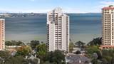 4141 Bayshore Boulevard - Photo 39