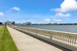 4141 Bayshore Boulevard - Photo 47