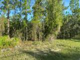 15421 Fleetwood Road - Photo 7