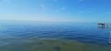 650 Pinellas Point Drive - Photo 39