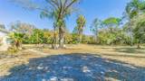 3902 Autumn Palm Drive - Photo 3