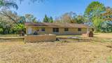3902 Autumn Palm Drive - Photo 5