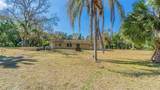 3902 Autumn Palm Drive - Photo 6