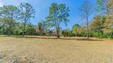 3902 Autumn Palm Drive - Photo 7