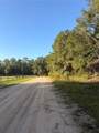115 Orange Tree Court - Photo 4