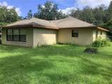 34473 Orchid Parkway - Photo 46
