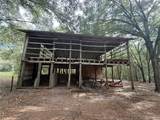 28430 Roberts Drive - Photo 9