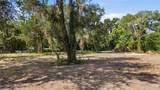 39211 Jarvis Street - Photo 2