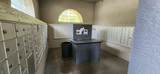 13015 Sanctuary Cove Drive - Photo 29