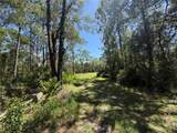 394 Florene Point - Photo 1