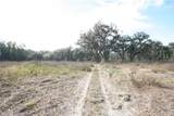  Us Hwy 301-12 Acres - Photo 4