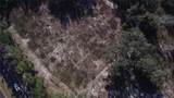  Us Hwy 301-12 Acres - Photo 9