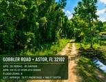  Gobbler Road - Photo 1