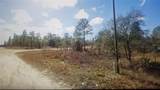  Tinamou Avenue - Photo 1
