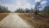  Tinamou Avenue - Photo 2