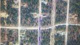  Tinamou Avenue - Photo 6