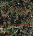 7265 Rainbow Street - Photo 1