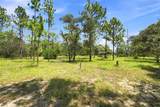 8279 Sunshine Grove Road - Photo 7