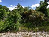  Whaling Road - Photo 8