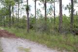 1714 Oleaster Avenue - Photo 2