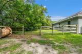 4631 Rushmore Loop - Photo 39