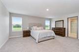 7917 Peace Lily Avenue - Photo 12
