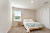 7917 Peace Lily Avenue - Photo 15