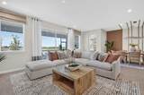 34902 Flower Patch Drive - Photo 16