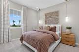 34902 Flower Patch Drive - Photo 27