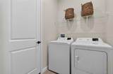 34902 Flower Patch Drive - Photo 31