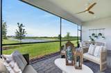 34902 Flower Patch Drive - Photo 33