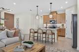 34902 Flower Patch Drive - Photo 7