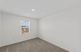 10811 Sun Drop Drive - Photo 23
